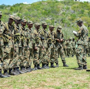 Meet your Posher, Damani